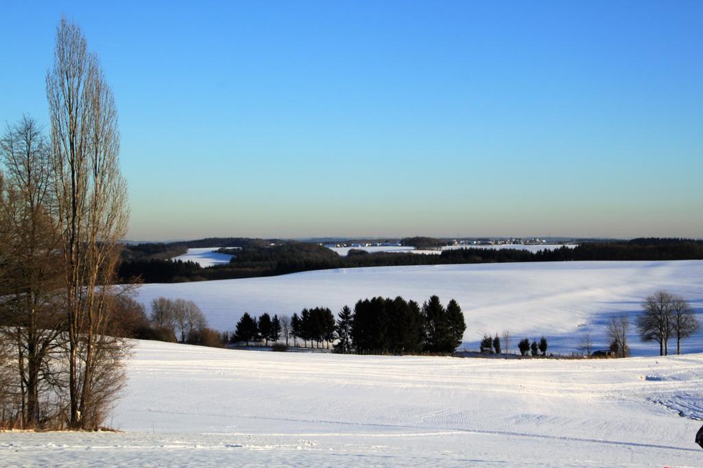 Ferienwohnungen Eifelblick Lutzerath Exterior foto